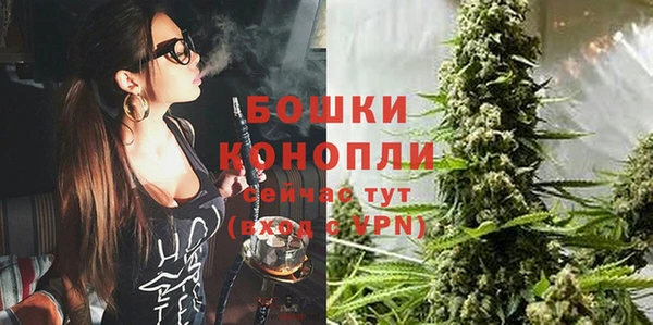 mix Белокуриха