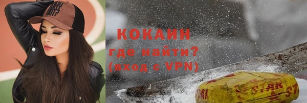 ГАЛЛЮЦИНОГЕННЫЕ ГРИБЫ Невель