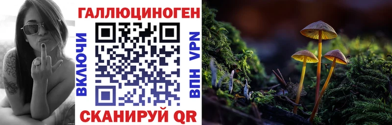 Псилоцибиновые грибы Psilocybe  Невель 